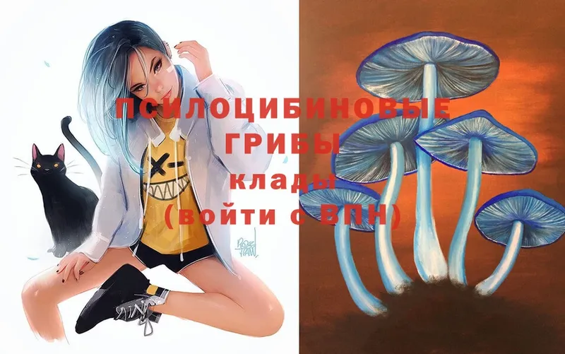 Галлюциногенные грибы MAGIC MUSHROOMS  Баксан 